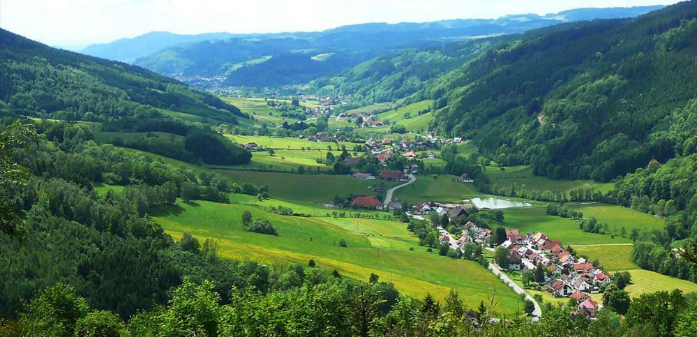 Ferienwohnung Schwarzwaldhaus Elzach Exterior foto